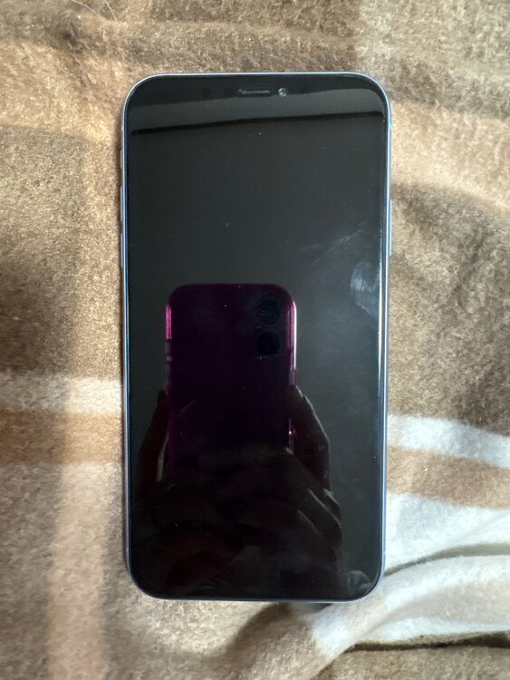 iPhoneXR 64GB au（スマホ）の商品画像 - 査定依頼日：2025年4月13日 - 最高査定価格：7,000円