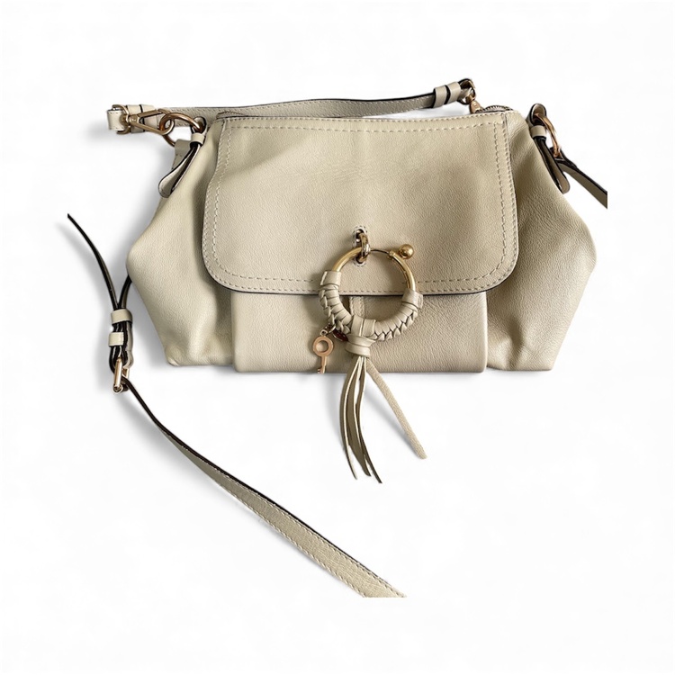 その他 クロエ （ブランドバッグ）の商品画像 - 査定依頼日：2025年12月16日 - 最高査定価格：20,000円