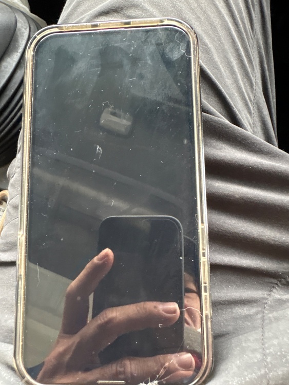 iPhone 13 Pro Max 256GB Softbank（スマホ）の商品画像 - 査定依頼日：2026年4月17日 - 最高査定価格：61,000円