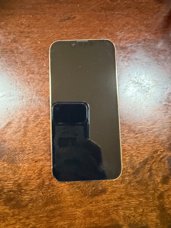 iPhone iPhone 13 Pro 256GB au（スマホ）の商品画像 - 査定依頼日：2026年8月23日 - 最高査定価格：55,000円