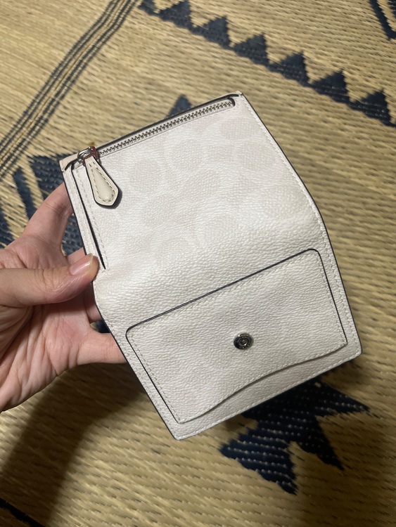 その他 コーチ （ブランドバッグ）の商品画像 - 査定依頼日：2025年6月23日 - 最高査定価格：3,000円