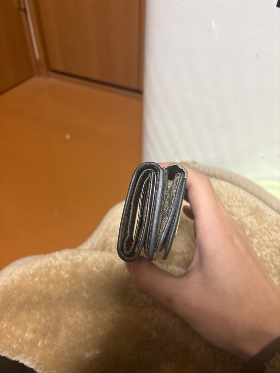 グッチ  （ブランドバッグ）の商品画像 - 査定依頼日：2026年3月2日 - 最高査定価格：13,000円