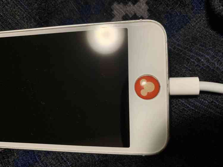 iPhone5 SoftBank ジャンク（スマホ）の商品画像 - 査定依頼日：2019年7月17日 - 最高査定価格：1,000円