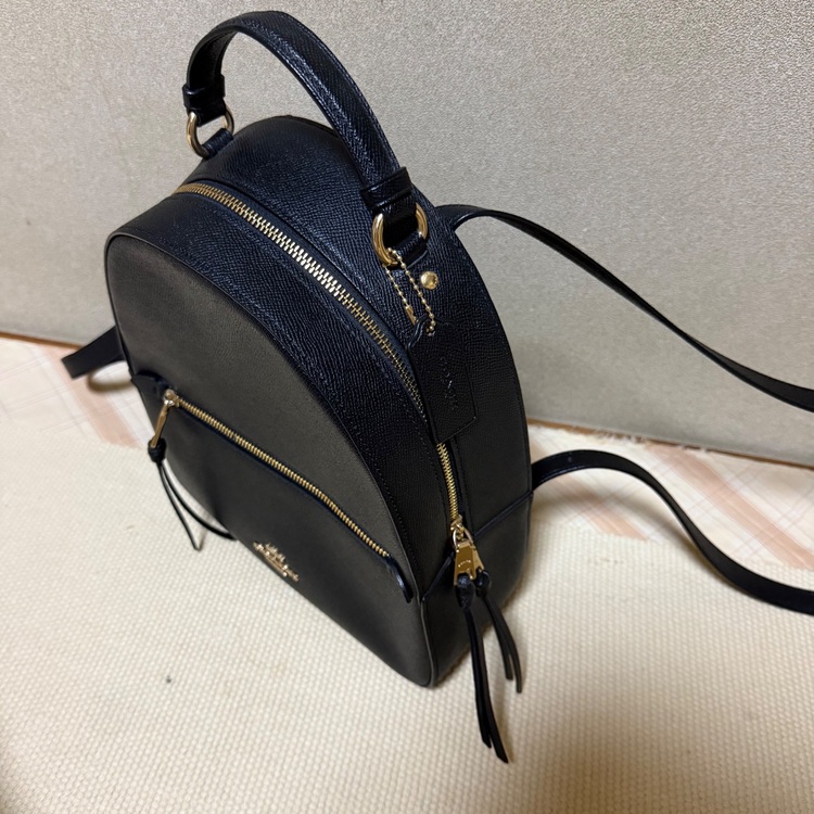 リュック（ブランドバッグ）の商品画像 - 査定依頼日：2025年9月1日 - 最高査定価格：3,500円