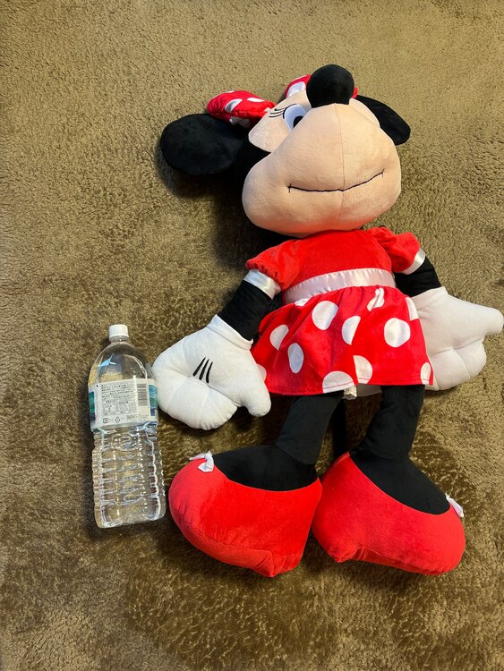 ミニーぬいぐるみ（その他のおもちゃ）の商品画像 - 査定依頼日：2025年5月1日 - 最高査定価格：30円