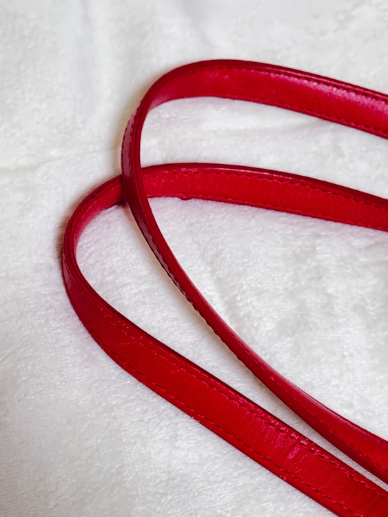 クリスチャンディオール カナージュ パナレア（ブランドバッグ）の商品画像 - 査定依頼日：2025年8月20日 - 最高査定価格：50,000円