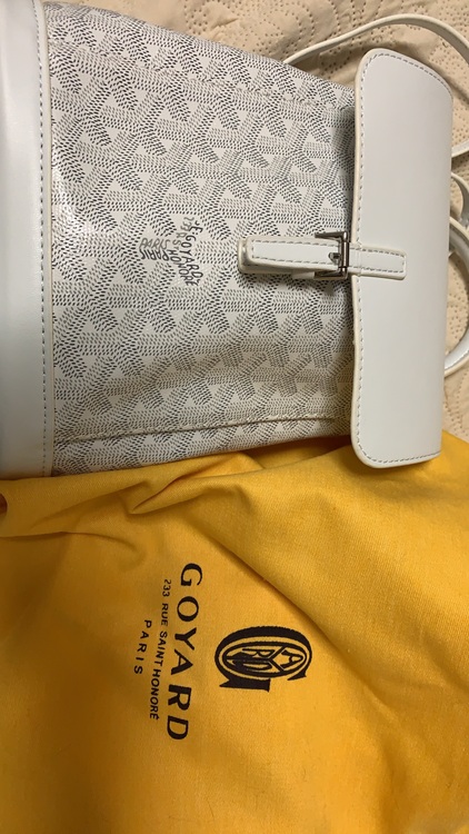 ゴヤール  （ブランドバッグ）の商品画像 - 査定依頼日：2025年10月14日 - 最高査定価格：350,000円