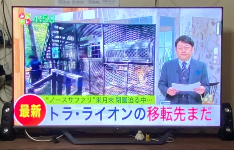 Hisense® 4K 液晶テレビ58U7FG  2022年製（家電）の商品画像 - 査定依頼日：2025年9月23日 - 最高査定価格：3,000円