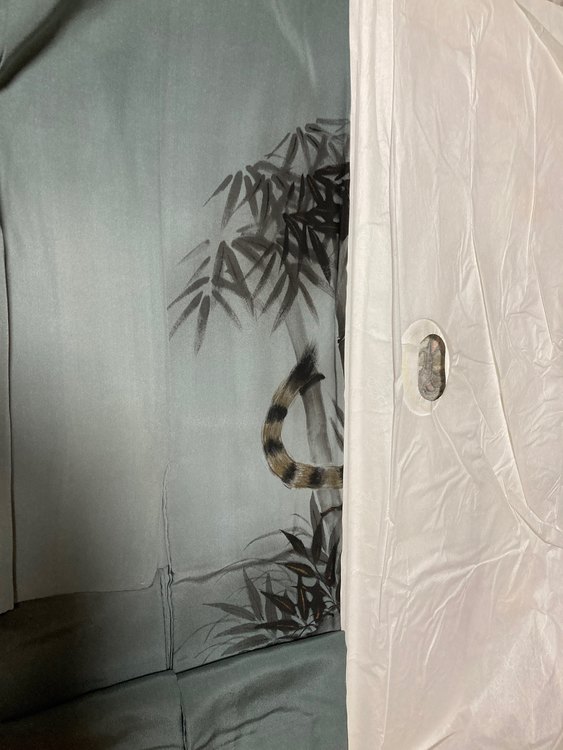 羽ニ重下着（着物）の商品画像 - 査定依頼日：2023年8月17日