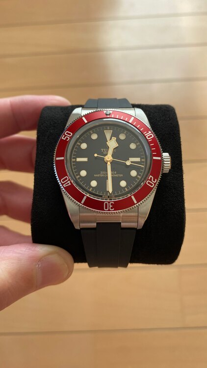 チューダー ブラックベイ （高級時計）の商品画像 - 査定依頼日：2023年12月28日