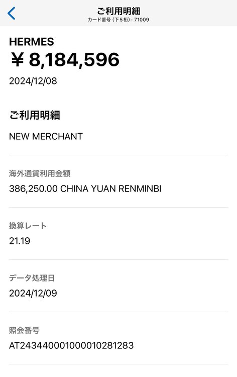 エルメス オータクロア 50 マルチポケット（ブランドバッグ）の商品画像 - 査定依頼日：2025年1月28日 - 最高査定価格：999,999,999円