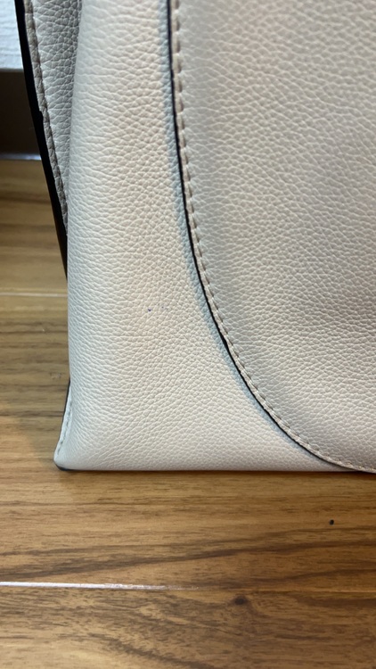 ロエベ ゲート（ブランドバッグ）の商品画像 - 査定依頼日：2025年10月29日 - 最高査定価格：105,000円