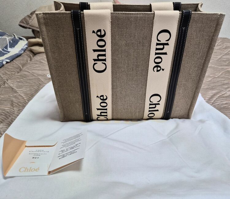 その他 クロエ （ブランドバッグ）の商品画像 - 査定依頼日：2025年10月20日 - 最高査定価格：70,000円