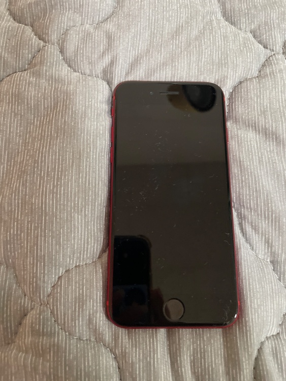 iPhone iPhone SE (第 2 世代) 128GB SIMフリー（スマホ）の商品画像 - 査定依頼日：2026年5月28日 - 最高査定価格：13,000円
