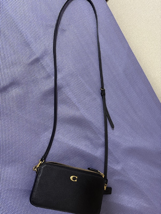 その他 コーチ （ブランドバッグ）の商品画像 - 査定依頼日：2025年9月28日 - 最高査定価格：3,000円