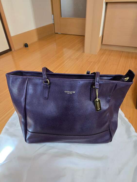 コーチ　トートバッグ（ブランドバッグ）の商品画像 - 査定依頼日：2025年2月9日 - 最高査定価格：3,000円