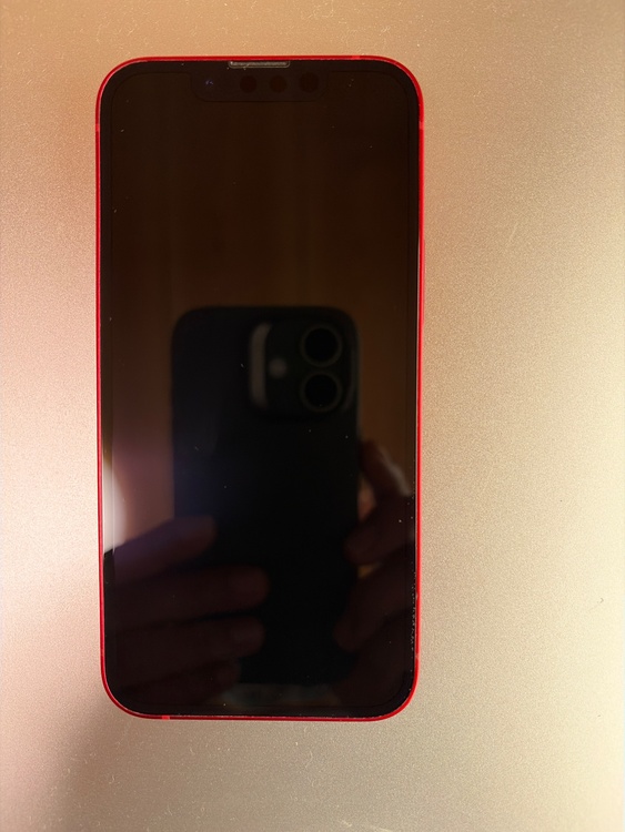 iPhone iPhone 13 mini 256GB au（スマホ）の商品画像 - 査定依頼日：2026年8月8日 - 最高査定価格：33,000円