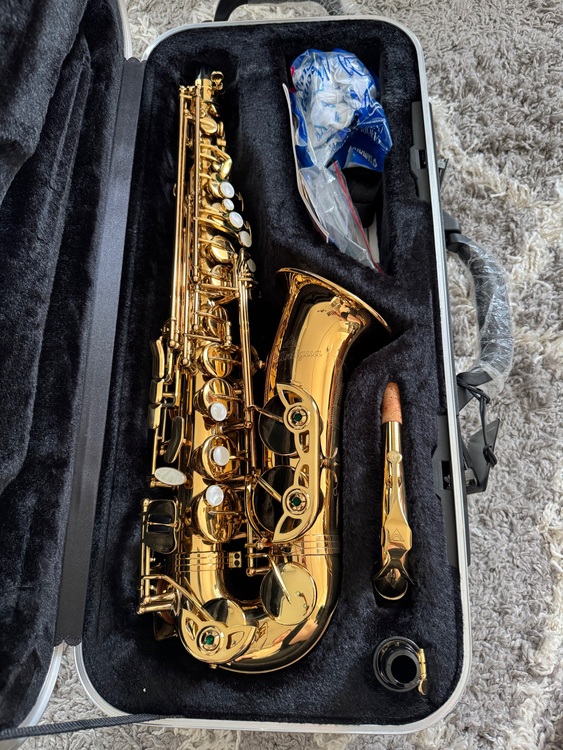 WINS ALTO SAX GL（ピアノ・楽器・PA機材）の商品画像 - 査定依頼日：2025年11月8日 - 最高査定価格：25,000円