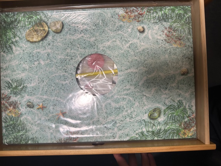 ワールドファミリー2016（古本）の商品画像 - 査定依頼日：2025年9月2日 - 最高査定価格：30,000円