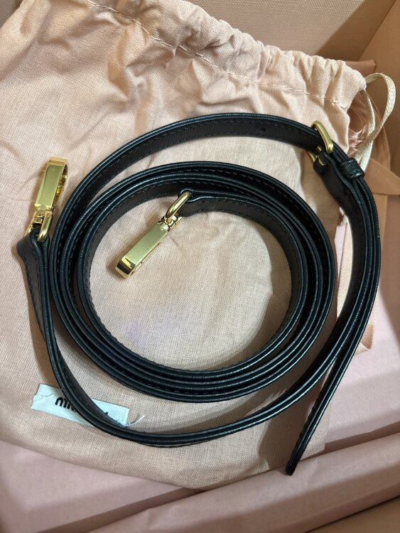 ミュウミュウ  （ブランドバッグ）の商品画像 - 査定依頼日：2025年2月8日 - 最高査定価格：270,000円