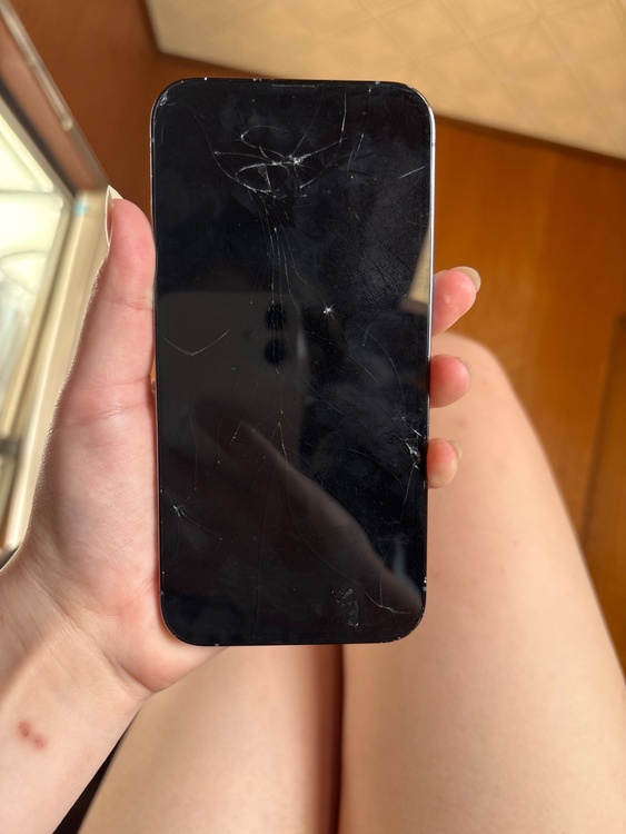 iPhone13Pro（スマホ）の商品画像 - 査定依頼日：2026年6月9日 - 最高査定価格：22,000円