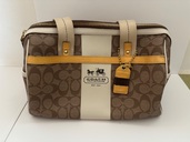 コーチ COACH F11353（ブランドバッグ）の商品画像 - 査定依頼日：2025年8月30日 - 最高査定価格：500円