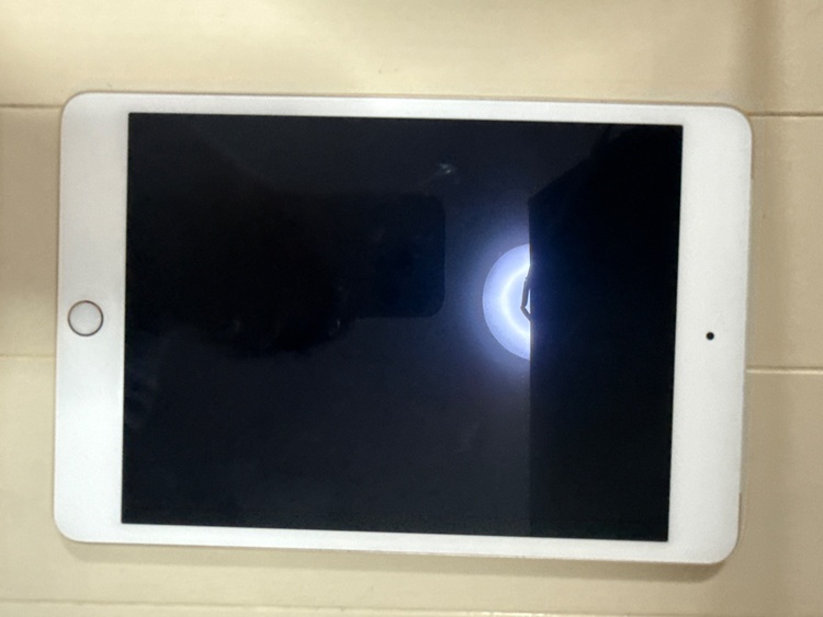 iPad mini4（PC・タブレット）の商品画像 - 査定依頼日：2026年6月4日 - 最高査定価格：4,000円