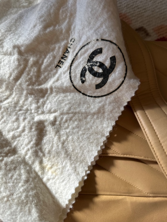 シャネル シャネル(その他) （ブランドバッグ）の商品画像 - 査定依頼日：2026年1月25日 - 最高査定価格：100,000円