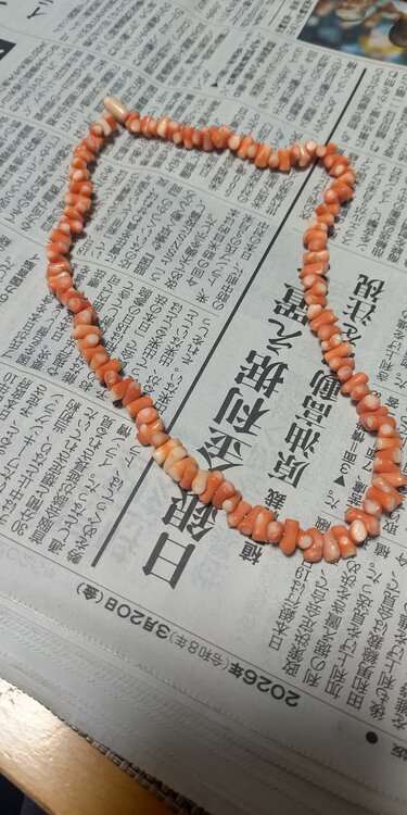 珊瑚（金・貴金属）の商品画像 - 査定依頼日：2026年3月21日 - 最高査定価格：1,000円