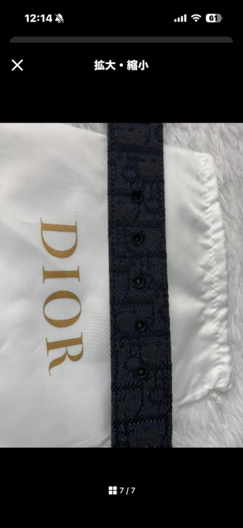 ディオール  （ブランドバッグ）の商品画像 - 査定依頼日：2026年2月5日 - 最高査定価格：40,000円