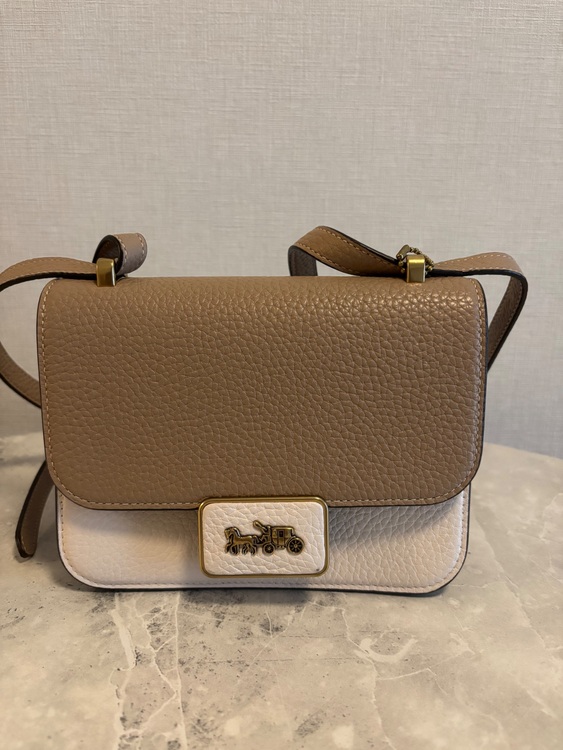 ショルダーバッグ（ブランドバッグ）の商品画像 - 査定依頼日：2025年10月29日 - 最高査定価格：4,000円