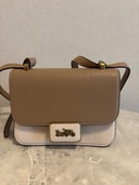 ショルダーバッグ（ブランドバッグ）の商品画像 - 査定依頼日：2025年10月29日 - 最高査定価格：4,000円