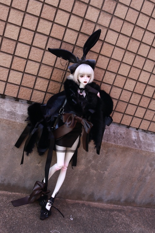 DOLL ZONE BLACK フルセット（その他のおもちゃ）の商品画像 - 査定依頼日：2025年12月12日 - 最高査定価格：11,500円