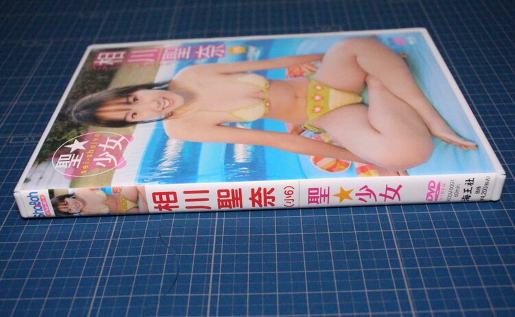 DVD 相川聖奈　聖☆少女　海王社　sho boh（CD・DVD）の商品画像 - 査定依頼日：2025年3月28日 - 最高査定価格：5,000円