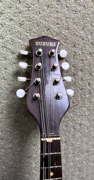 SUZUKIのマンドリン（ピアノ・楽器・PA機材）の商品画像 - 査定依頼日：2026年4月15日 - 最高査定価格：3,000円
