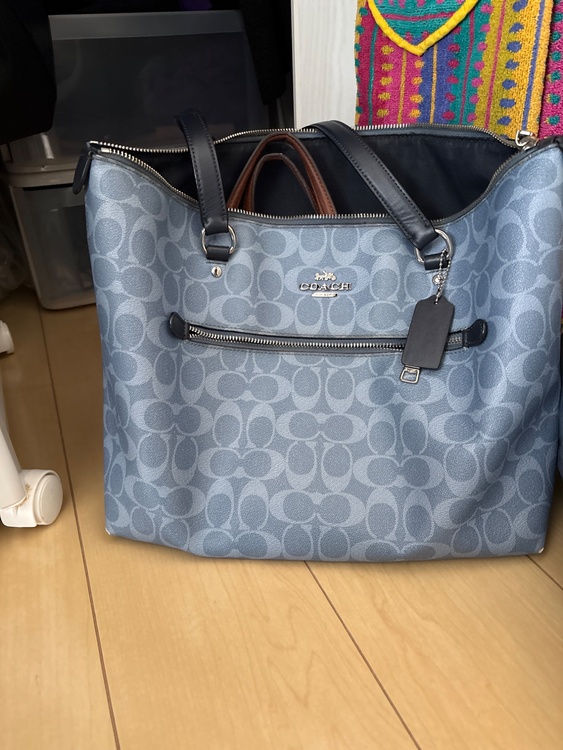 その他 コーチ （ブランドバッグ）の商品画像 - 査定依頼日：2026年4月26日 - 最高査定価格：2,500円