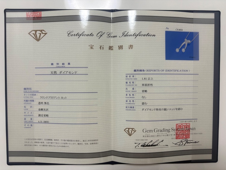 ネックレス（宝石）の商品画像 - 査定依頼日：2025年9月27日 - 最高査定価格：100,000円