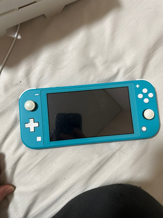 Switch light（ゲーム機本体・ゲームソフト）の商品画像 - 査定依頼日：2023年12月14日 - 最高査定価格：9,000円