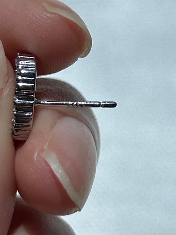 ディオール  （ブランドバッグ）の商品画像 - 査定依頼日：2025年7月26日 - 最高査定価格：10,000円