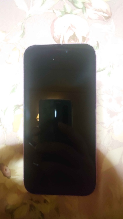 iPhone iPhone 16 256GB docomo（スマホ）の商品画像 - 査定依頼日：2026年6月19日 - 最高査定価格：77,000円