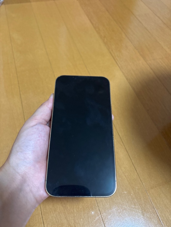 iPhone iPhone 13 Pro 128GB Softbank（スマホ）の商品画像 - 査定依頼日：2026年9月22日 - 最高査定価格：40,000円