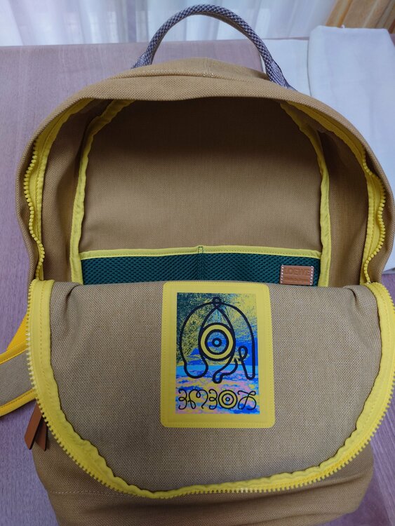 ロエベ　キャンパス地デイバッグ（ブランドバッグ）の商品画像 - 査定依頼日：2026年4月20日 - 最高査定価格：58,000円