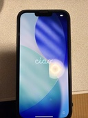 iPhone 13 Pro Max 256GB au（スマホ）の商品画像 - 査定依頼日：2026年4月25日 - 最高査定価格：61,000円