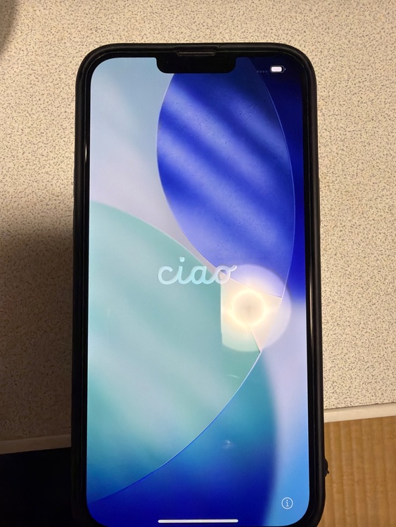 iPhone 13 Pro Max 256GB au（スマホ）の商品画像 - 査定依頼日：2026年4月25日 - 最高査定価格：61,000円