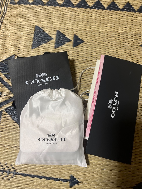 その他 コーチ （ブランドバッグ）の商品画像 - 査定依頼日：2025年6月23日 - 最高査定価格：3,000円