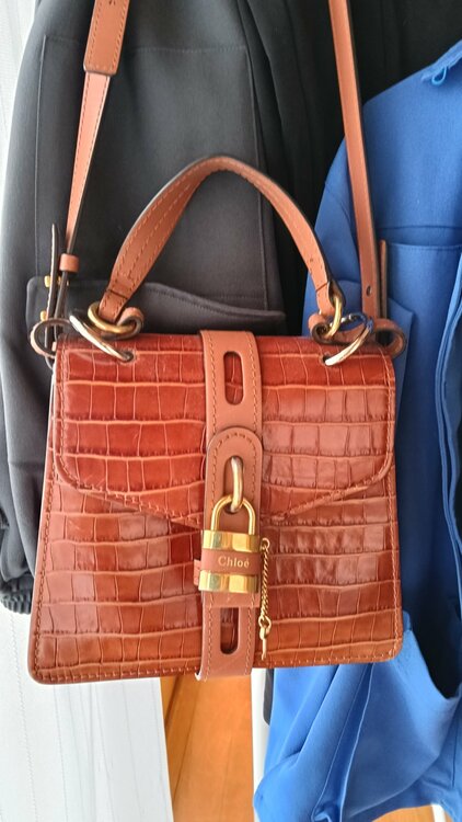 その他 クロエ （ブランドバッグ）の商品画像 - 査定依頼日：2026年3月2日 - 最高査定価格：100,000円