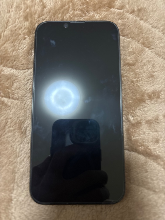 iPhone 13 Pro 256GB SIMフリー（スマホ）の商品画像 - 査定依頼日：2026年4月2日 - 最高査定価格：49,000円