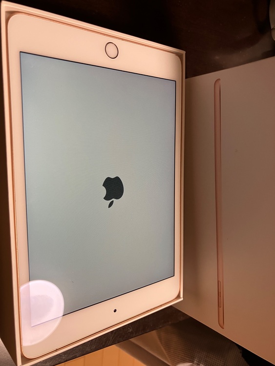 iPad mini5 セルラーモデル　64GB（PC・タブレット）の商品画像 - 査定依頼日：2025年10月29日 - 最高査定価格：100,000円