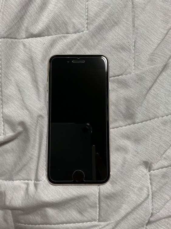 iPhone iPhone SE (第 3 世代) 128GB SIMフリー（スマホ）の商品画像 - 査定依頼日：2026年7月13日 - 最高査定価格：15,000円