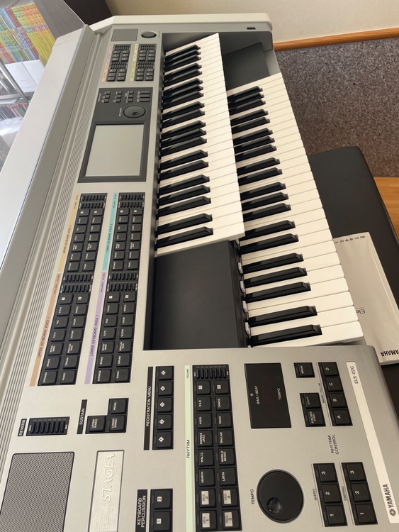 ELS-02C（ピアノ・楽器・PA機材）の商品画像 - 査定依頼日：2026年4月8日 - 最高査定価格：100,000円